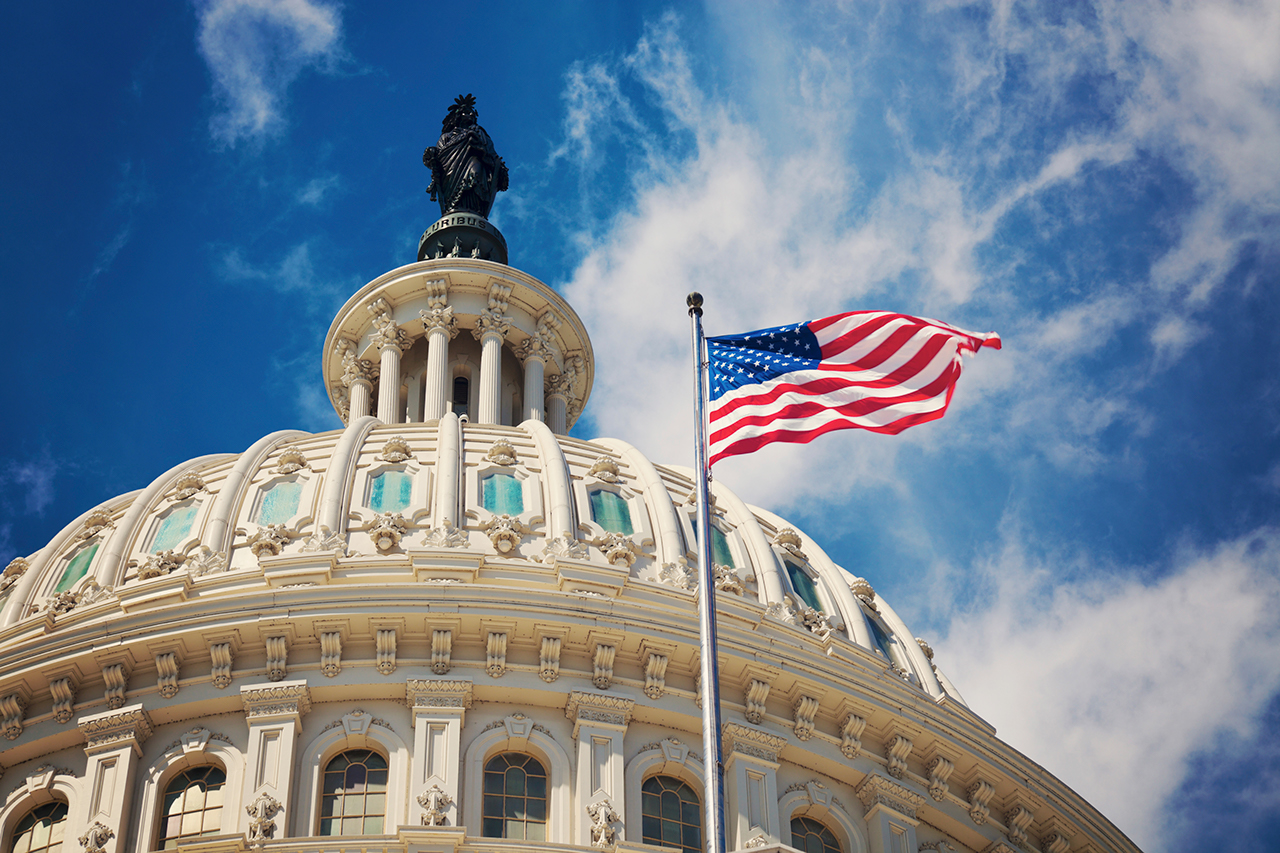 The Capitol - Washington DC